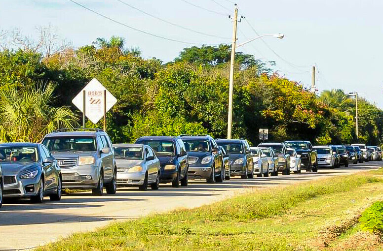 Cars lined up for blocks to get their free pre-Thanksgiving food.